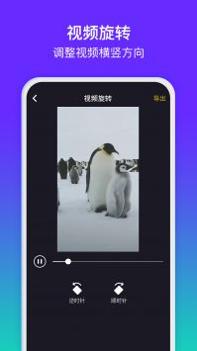 水印精灵 v3.0.5