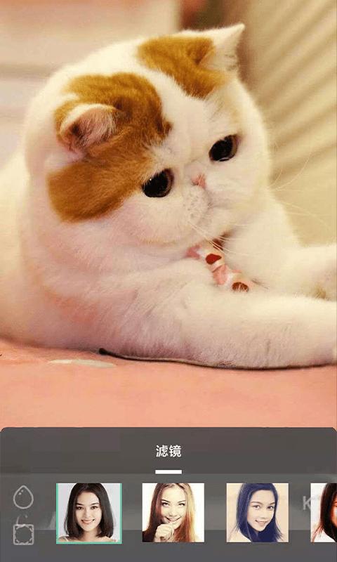 摸鱼鱼 2021-05-24 08:59