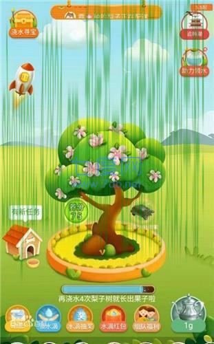 好运果园红包版 v1.0