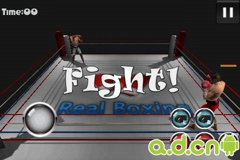 真实拳击 v1.0.2 v3.1.5