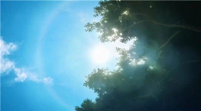 机动战士高达战斗行动代号妖精 2023-02-03 11:43