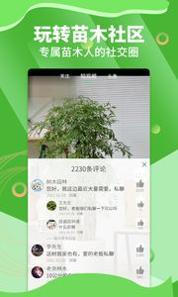苗木通 v3.0.5