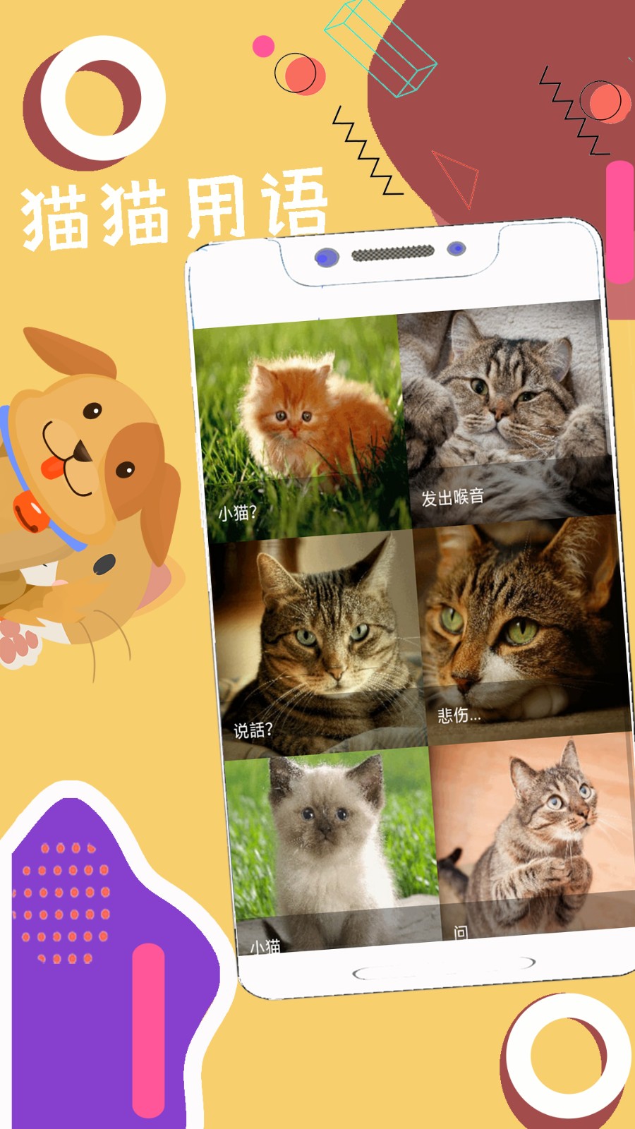 人狗猫猪翻译器  v1.0.0