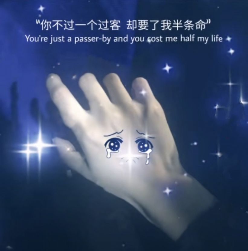 你不过是个过客却要了我半条命表情包 .jpg