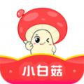 小白菇app官方手机版下载 