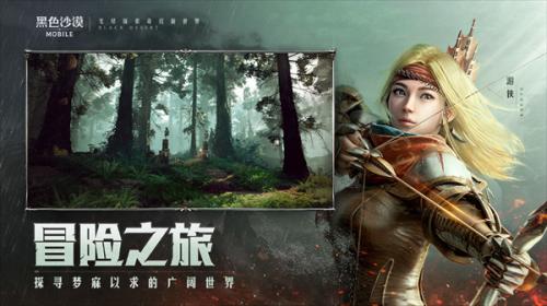 黑色沙漠官方版  v5.12.51