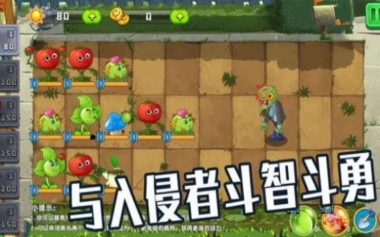 植物僵尸大作战 v 2.8.2.9
