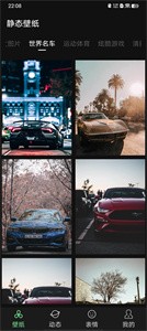 雨林壁纸  v1.20.0.1-SNAPSH