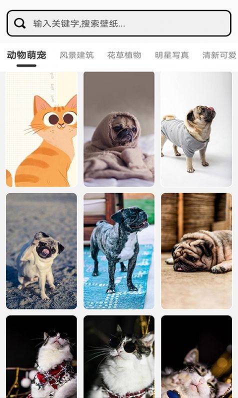 元气小组件  v1.0.0