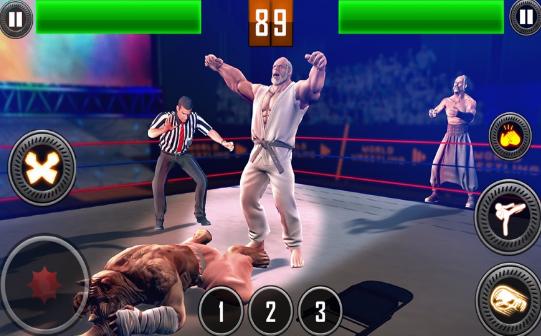 真实摔跤对战2020  V 1.0