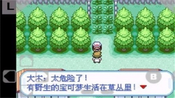 口袋妖怪火红内置修改器版截图1