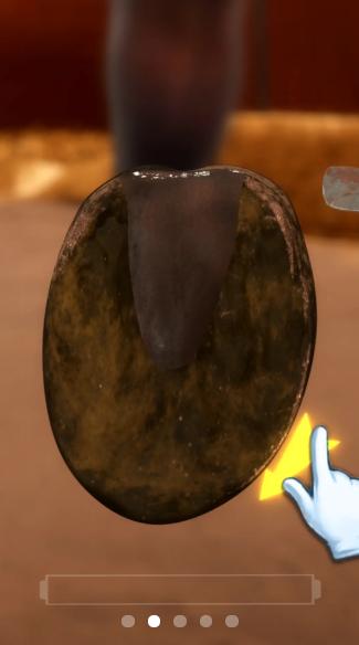 赛马也疯狂 v1.0.0