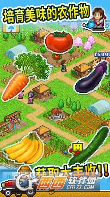 晴空农场物语游戏 v1.0 安卓版