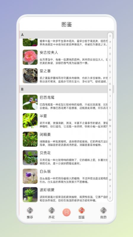 植物识别王 v1.0.4
