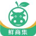 鲜商集app官方版 