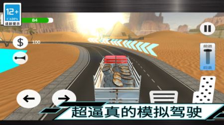 大卡车驾驶截图0