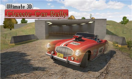 3D拉力车赛(3D赛车游戏) v1.0安卓版