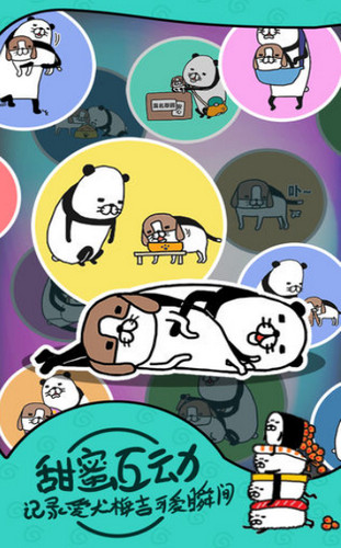 熊猫和狗狗狗真可爱