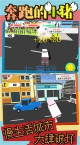 奔跑的小猪 v1.0