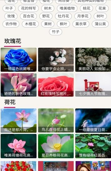 哇图库 v2.1.0