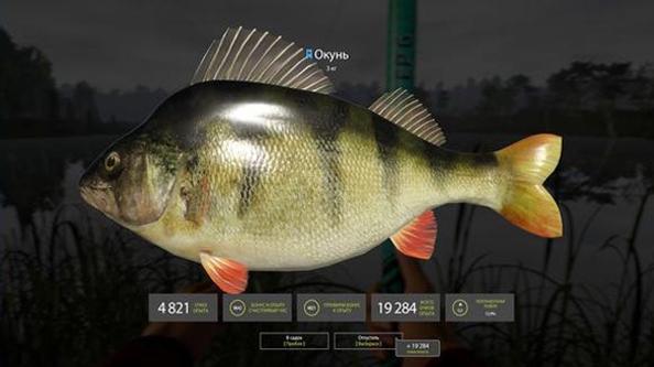 俄罗斯钓鱼4钓鱼大师