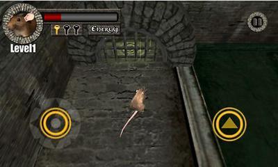 老鼠下水道大逃亡.png 老鼠下水道大逃亡.png