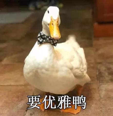 1609839544210687.jpg 1609839544210687.jpg