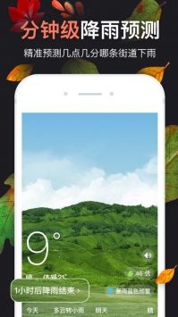 天气预报ios版 v2.0.5