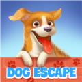 狗逃生拯救宠物