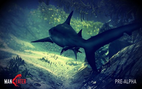 食人鲨 2020-05-19 17:31