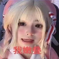 窝是嫩叠安妮表情包 v1.0