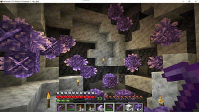 我的世界基岩版1.17 v1.17