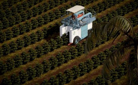 虚拟农场 2019-11-26 10:42