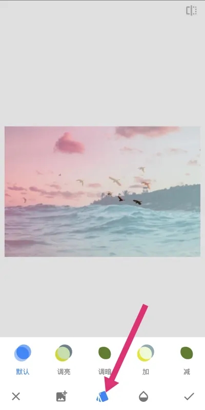 Snapseed小叶子App