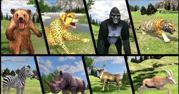 真正的丛林动物狩猎 2024-06-25 15:08