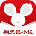 翻天鼠小说