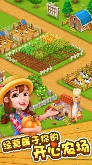 开心农场