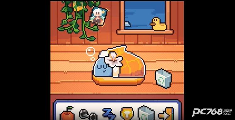 warma我的小鲨鱼