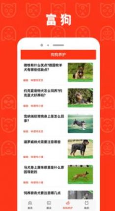 富狗养宠APP安卓版 
