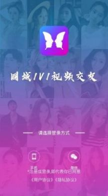 迷蝶社交.jpg