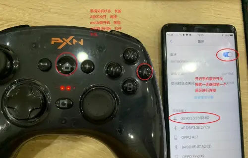 小鸡模拟器中文版