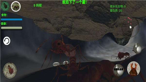 奇妙动物世界探险  v1.0