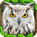 终极猫头鹰模拟器完美版大全最新版 