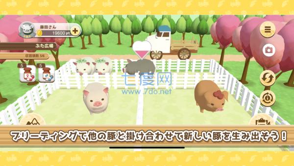 养猪场3D红包版