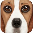 UltDogSim(终极狗狗模拟器)