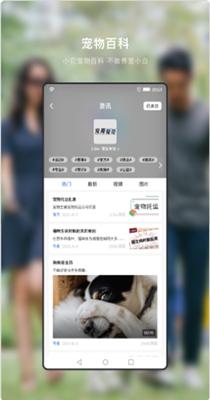 小它宠物截图1