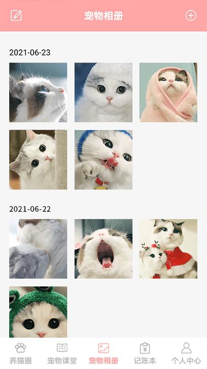 遇见我的猫  v1.4