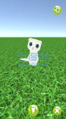 一起来捉猫 v2.5