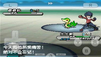 口袋妖怪白2  v3.0