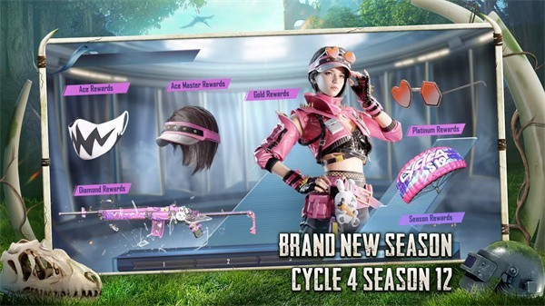 pubgm官网版  v2.8.0